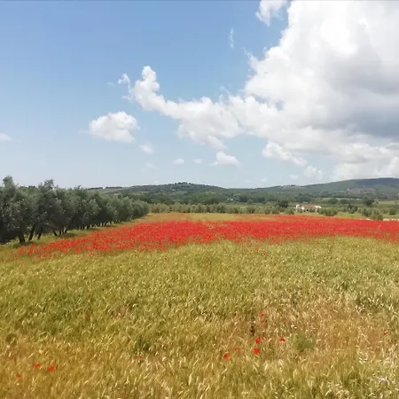 Home_by_mel_g דירה מנצ'יאנו